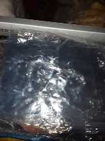 Plastic Envelope Short