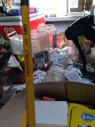 Pencil/ Lapis Mongol 2 Small