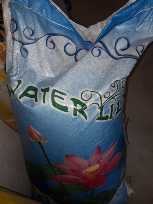 50kg Water Lily Pilit