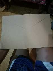 Long Brown Envelope