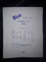 Victory Intermediate Paper