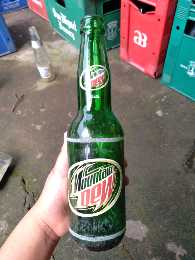 355ml Bottles Mountain Dew