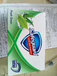 130g Safeguard Fresh Green