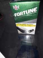 Fortune Menthol