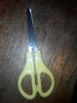 Scissors Small
