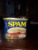 340g SPAM Luncheon Meat Hormel Foods