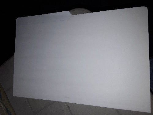 Long White File Folder Rough