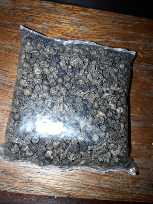 By Pack Paminta Liso Pepper Seeds