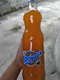 1L Royal Tru-Orange